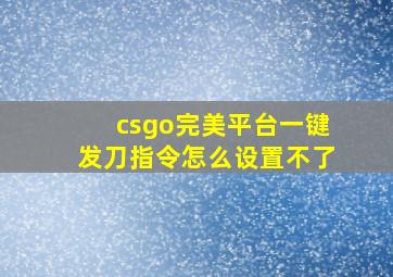 csgo完美平台一键发刀指令怎么设置不了