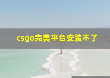 csgo完美平台安装不了