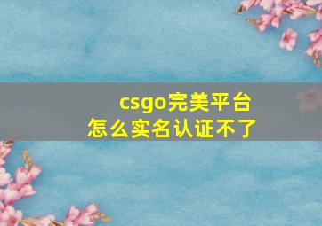 csgo完美平台怎么实名认证不了