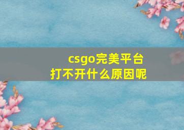 csgo完美平台打不开什么原因呢