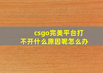 csgo完美平台打不开什么原因呢怎么办