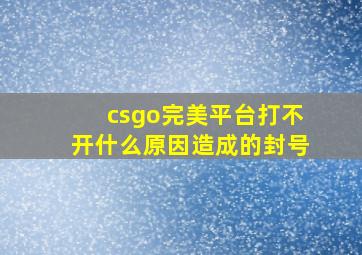 csgo完美平台打不开什么原因造成的封号