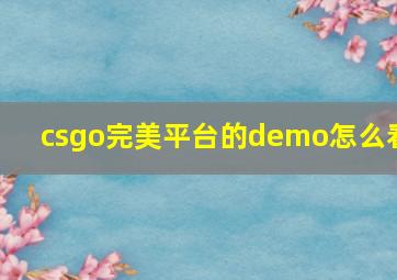 csgo完美平台的demo怎么看