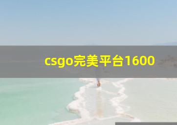 csgo完美平台1600