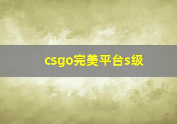 csgo完美平台s级