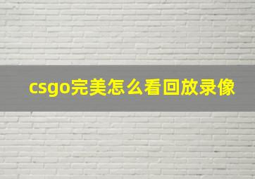 csgo完美怎么看回放录像