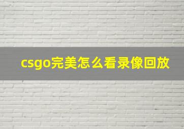 csgo完美怎么看录像回放