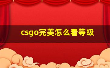 csgo完美怎么看等级