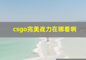 csgo完美战力在哪看啊