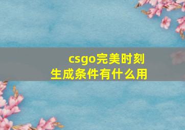 csgo完美时刻生成条件有什么用