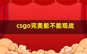 csgo完美能不能观战