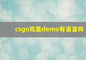 csgo完美demo有语音吗