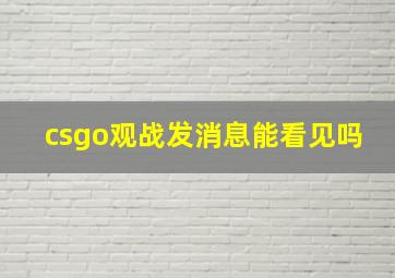 csgo观战发消息能看见吗