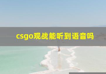 csgo观战能听到语音吗