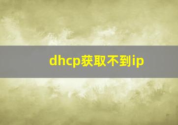 dhcp获取不到ip