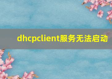 dhcpclient服务无法启动