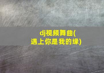 dj视频舞曲(遇上你是我的缘)