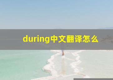 during中文翻译怎么