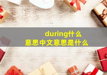 during什么意思中文意思是什么