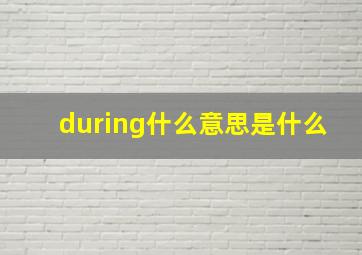 during什么意思是什么