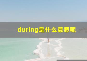 during是什么意思呢