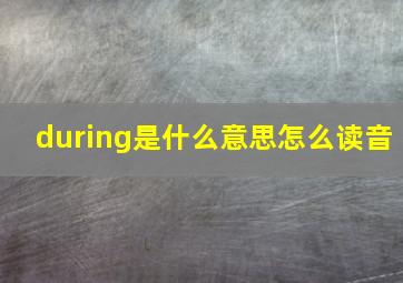 during是什么意思怎么读音