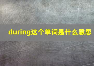 during这个单词是什么意思