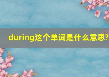 during这个单词是什么意思?