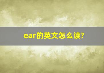 ear的英文怎么读?