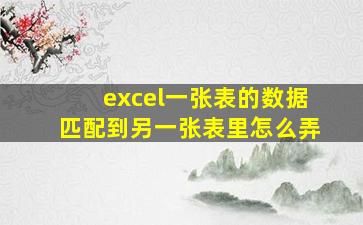 excel一张表的数据匹配到另一张表里怎么弄