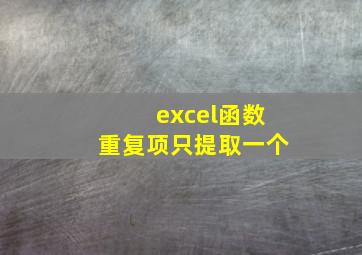 excel函数重复项只提取一个