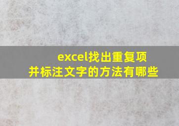 excel找出重复项并标注文字的方法有哪些