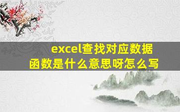 excel查找对应数据函数是什么意思呀怎么写