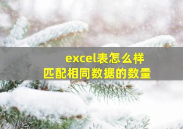 excel表怎么样匹配相同数据的数量