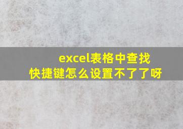 excel表格中查找快捷键怎么设置不了了呀