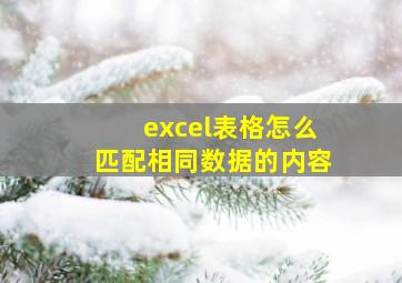 excel表格怎么匹配相同数据的内容