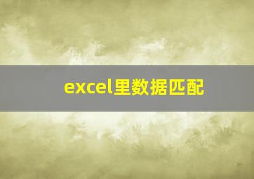 excel里数据匹配