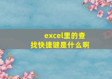 excel里的查找快捷键是什么啊