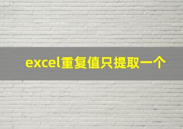 excel重复值只提取一个