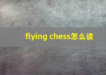 flying chess怎么读