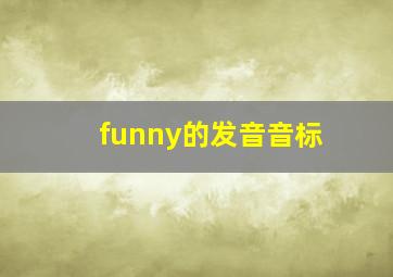 funny的发音音标