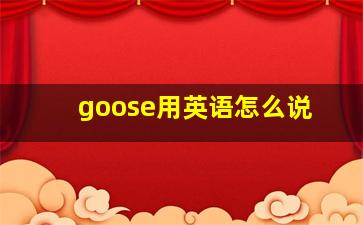 goose用英语怎么说