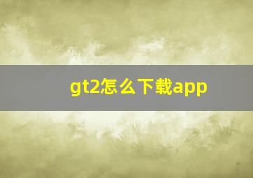 gt2怎么下载app