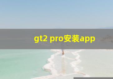 gt2 pro安装app