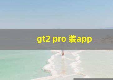 gt2 pro 装app