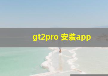 gt2pro 安装app