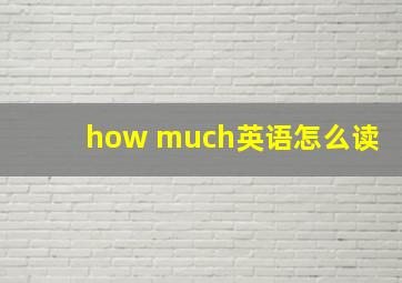 how much英语怎么读