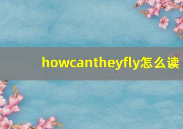 howcantheyfly怎么读