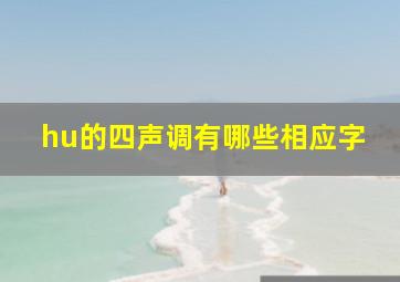 hu的四声调有哪些相应字