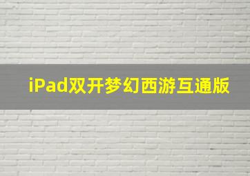 iPad双开梦幻西游互通版